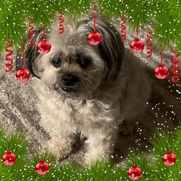kathy_sendner